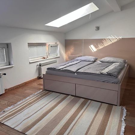 Vila Danin With Free Garage,Stari Grad 사라예보 외부 사진